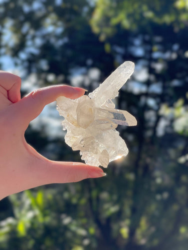 Clear Quartz Cluster